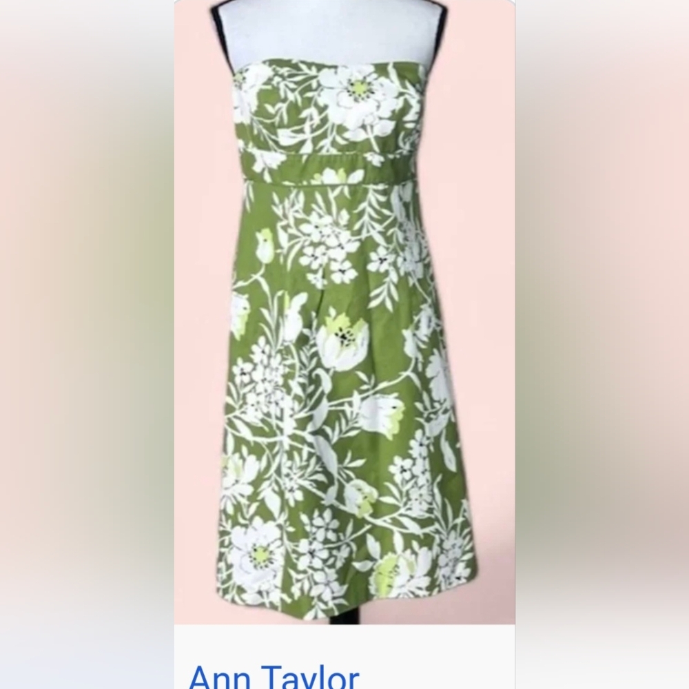 Ann Taylor Loft $148 Sz 6 Silk Blend Strapless Dress NWT